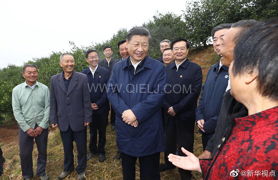 光山油茶籽榨油設(shè)備，山茶籽油榨油機廠家(圖2)
