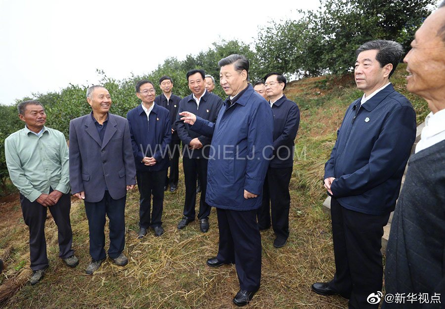 光山油茶籽榨油設(shè)備，山茶籽油榨油機廠家(圖3)