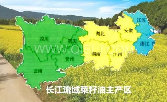 濃香菜籽油成套設(shè)備，企鵝糧油機(jī)械品質(zhì)出眾(圖1)