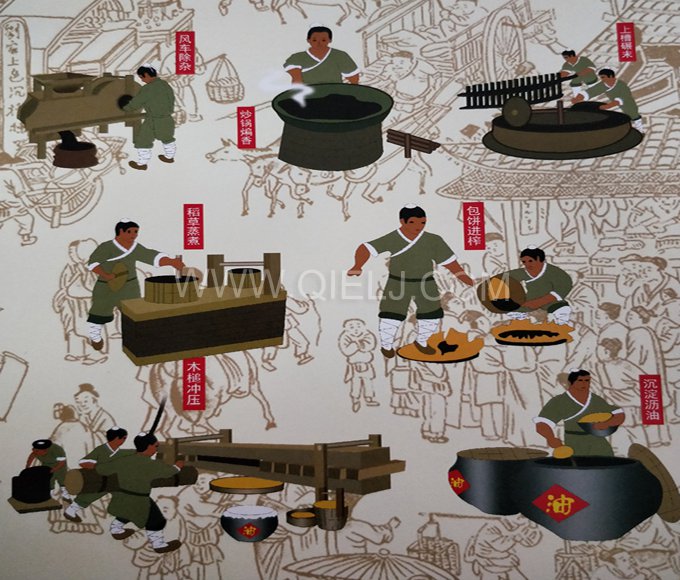 芝麻油提取加工，企鵝糧油機(jī)械生產(chǎn)色香味俱佳的油脂(圖2)